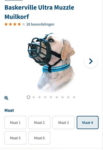 Muilkorf Baskerville beschikbaar voor biedingen