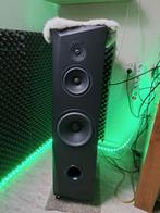 Zelfbouw Virtago speakers Bwj. 2018, Audio, Tv en Foto, Luidsprekers, Zo goed als nieuw, 120 watt of meer, Front, Rear of Stereo speakers