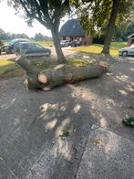 Eikenhout/brandhout, Minder dan 3 m³, Ophalen, Eikenhout