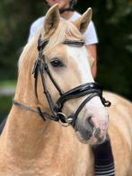 9 jarige knappe c recreatie kinder pony, Dieren en Toebehoren, Pony's, B, Gechipt, Ruin, Springpony