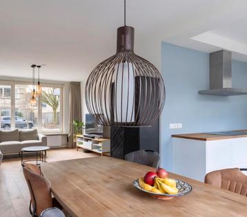 Hanglamp Hoogenboezem