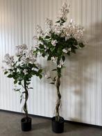 Witte Kunst Bougainvillea – 120 cm & 170 cm, Ophalen of Verzenden, Nieuw, Binnen