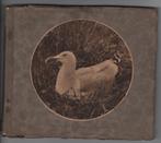 Vogel kalender album met 52 platen H.M. Wichern, v Hoëveltt, Ophalen of Verzenden, Gelezen, Plaatjesalbum