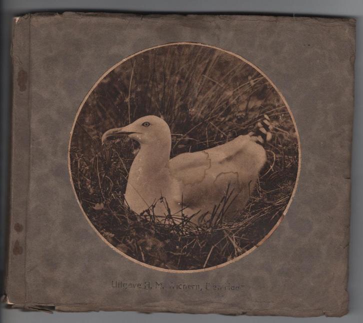 Vogel kalender album met 52 platen H.M. Wichern, v Hoëveltt, Boeken, Prentenboeken en Plaatjesalbums, Gelezen, Plaatjesalbum, Ophalen of Verzenden