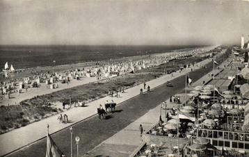 Noordwijk aan Zee, Koningin Wilhelmina Boulevard - volk - 19 beschikbaar voor biedingen
