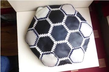 Mooi z.g.a.n. kussen met 2 verschillende kanten !!! beschikbaar voor biedingen