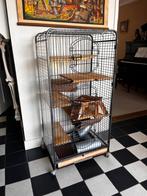 Knaagdieren kooi, Dieren en Toebehoren, Vogels | Hokken en Kooien, Ophalen of Verzenden, Zo goed als nieuw, Metaal, Vogelkooi