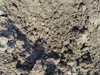 Gratis compost van paardenmest, Ophalen, Compost