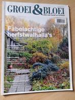 DIVERSE TIJDSCHRIFTEN GROEI EN BLOEI 2019, Boeken, Tijdschriften en Kranten, Ophalen of Verzenden, Zo goed als nieuw, Overige typen