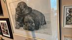 Prachtige honden tekening, Antiek en Kunst, Ophalen of Verzenden