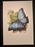 Morpho, Verzenden, 1980 tot heden, Zo goed als nieuw, Dier