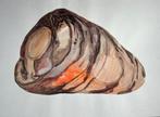 Aquarel Couzijn van Leeuwen, Verzenden
