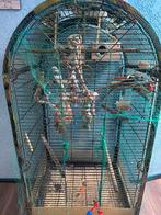 Een grote kooi emt vogels, Dieren en Toebehoren, Vogels | Overige Vogels, Meerdere dieren