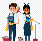 Schoonmaker gezocht kampen, Overige niveaus, Starter, Overige vormen