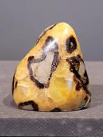 Septaria in diverse maten, Ophalen, Mineraal