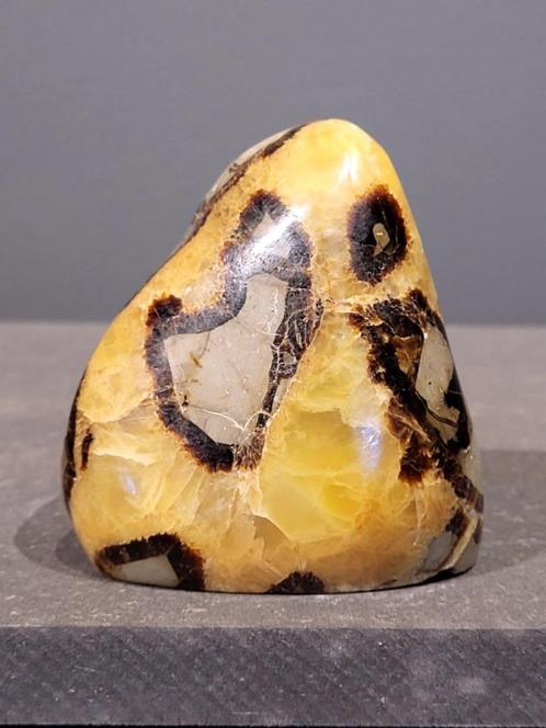 Septaria in diverse maten, Verzamelen, Mineralen en Fossielen, Mineraal, Ophalen