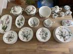 VILLEROY & BOCH SERVIES BOTANICA, Antiek en Kunst, Ophalen