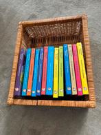 Geronimo Stilton 13 boeken, Boeken, Kinderboeken | Jeugd | 10 tot 12 jaar, Ophalen of Verzenden, Zo goed als nieuw