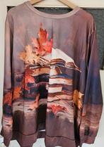 Trui, Kleding | Dames, Grote Maten, Ophalen of Verzenden, Gedragen, Trui of Vest