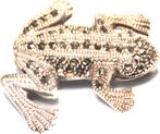 Schitterende Sterling Zilver Markasiet Kikker Broche, Sieraden, Tassen en Uiterlijk, Antieke sieraden, Verzenden, Zilver, Broche