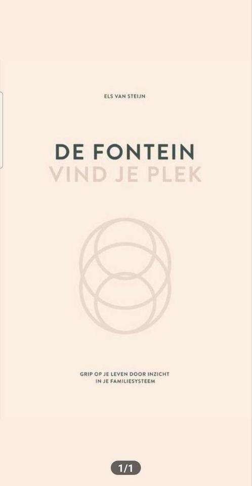 Els van Steijn - De fontein, vind je plek, Boeken, Psychologie, Zo goed als nieuw, Ophalen of Verzenden