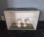 Vogelkooitje vogelkooi decoratie lente, Huis en Inrichting, Ophalen of Verzenden