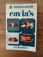 Cavia's, Ophalen of Verzenden