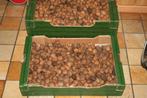 Biologische walnoten uit eigen tuin., Diversen, Ophalen of Verzenden