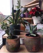 Oude vintage terracotta bloempotten sierpotten diverse maten, Tuin en Terras, Bloempotten, 25 tot 40 cm, Rond, Binnen, Ophalen of Verzenden