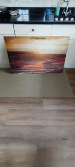 Reclamebord geen emaillebord mancave citroen  oldtimer, Ophalen