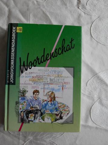 Bijbels Jongvolwassendagboeken-18+ beschikbaar voor biedingen