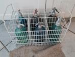 6 Brocante sodaflessen/sifons/spuitflessen met flessenrek, Ophalen