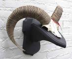 Schedel middelgrote MOEFLON RAM op dubbel eikenhouten schild, Verzamelen, Dierenverzamelingen, Ophalen of Verzenden, Gebruikt