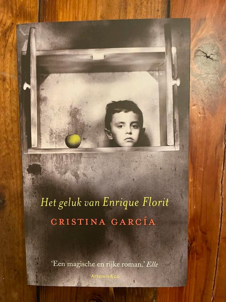 Boek Cristina Garcia - Het geluk van Enrique Florit, Boeken, Literatuur, Zo goed als nieuw, Ophalen of Verzenden