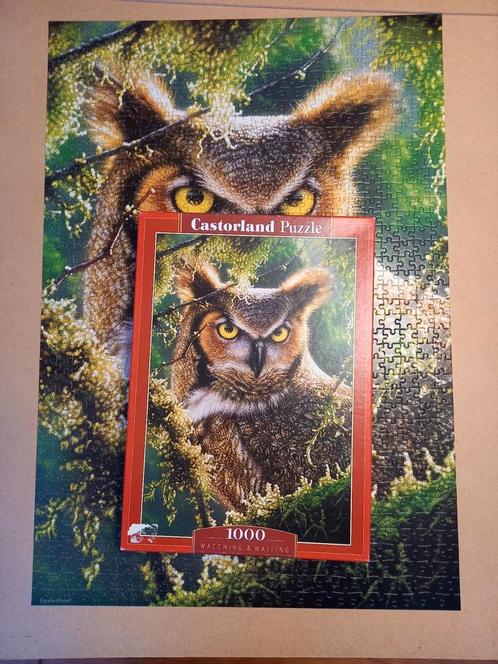 Castorland Puzzle Puzzel 1000 Compleet Uil Watching Waiting, Hobby en Vrije tijd, Denksport en Puzzels, Zo goed als nieuw, Legpuzzel