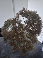 Kunst Berenklauw - Decoratie voor in huis, Huis en Inrichting, Woonaccessoires | Droogbloemen, Ophalen of Verzenden, Zo goed als nieuw