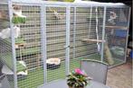 Kattenren  B=360 x D=180 x H= 180cm gegalvaniseerd, Ophalen of Verzenden