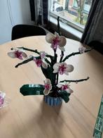 Lego Orchidee, Ophalen of Verzenden, Zo goed als nieuw