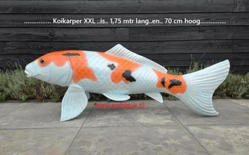  Koikarper XXL .... decoratie  beschikbaar voor biedingen