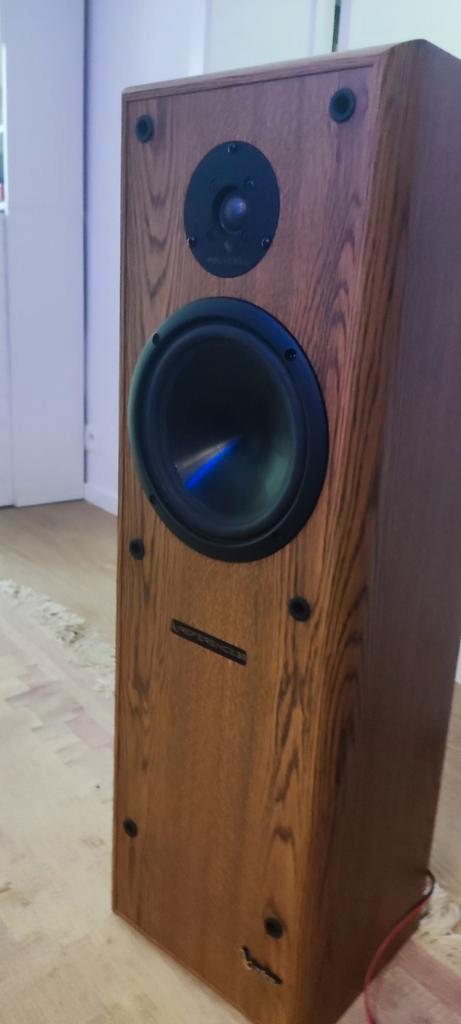 Infinity Reference 30 Luidsprekers, Audio, Tv en Foto, Luidsprekers, Gebruikt, Front, Rear of Stereo speakers, Overige merken