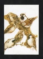 Kaart Mussen Huismussen Passeridae Orde Zangvogels., Ophalen of Verzenden, 1980 tot heden, Vogel