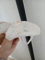 Haarband hoed off white, Kleding | Dames, Hoeden en Petten, Ophalen of Verzenden, Nieuw, One size fits all, Hoed
