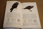 Het Beste vogelboek., Boeken, Ophalen of Verzenden, Gelezen, Vogels
