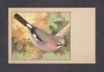 Vogelkaart Vlaamse Gaai Reclame Sluis Weesp (113)., Verzamelen, Ophalen of Verzenden, 1960 tot 1980, Ongelopen, Vogel