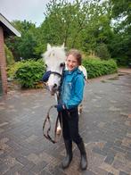 Verzorg pony in of rond Tubbergen gezocht., Dieren en Toebehoren, Paarden en Pony's | Verzorgingsproducten, Ophalen