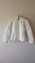 Witte winterjas met capuchon en 2 zakken met rits maat S, Ophalen of Verzenden, Zo goed als nieuw, Maat 36 (S), Wit