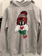 Zara Kids Collection Looney Tunes Trui, Ophalen of Verzenden, Nieuw, Maat 34 (XS) of kleiner, Grijs