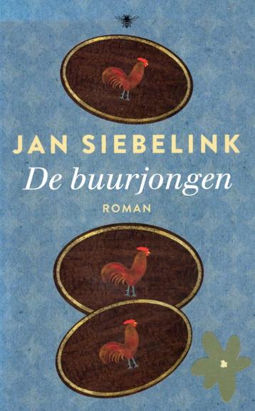 De Buurjongen - Jan Siebelink BOEK 9789403139708 beschikbaar voor biedingen