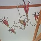 Kroonluchter, hanglamp, kelken, Queens Gallery, Rob Leben., Ophalen, Gebruikt, Metaal, Nostalgisch