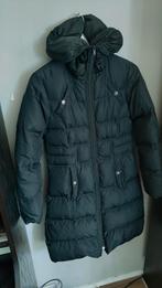 Calvin Klein. Zwarte gewatteerde parka jas, Zwart, Ophalen of Verzenden, Maat 36 (S), Calvin Klein